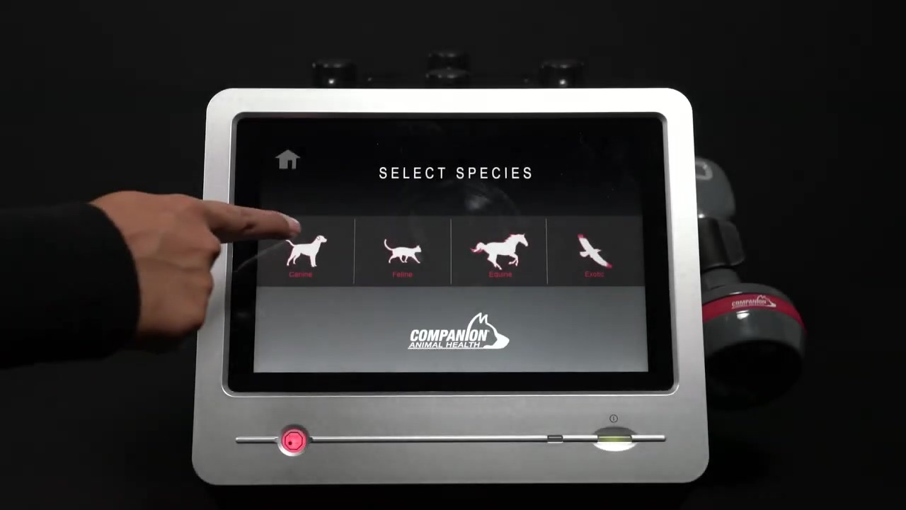 CTS-DUO+ Veterinary Laser Therapy | Companion Animal Health